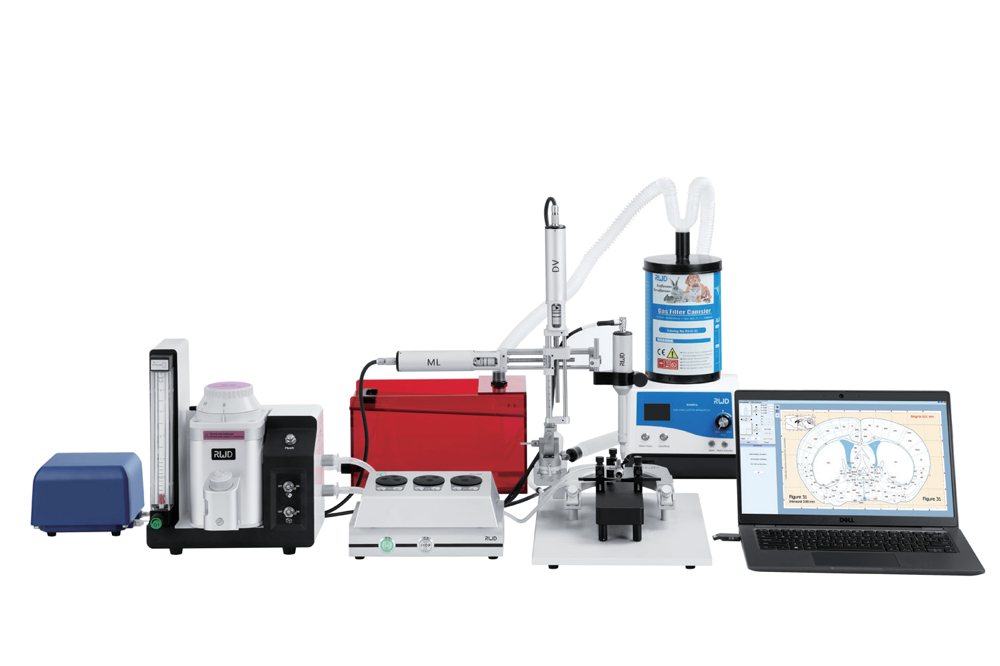 RWD ventilator and anesthesia combination