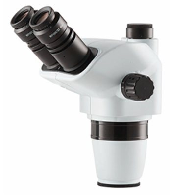 RWD 77008S trinocular zoom head